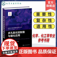 先进化工材料关键技术丛书 第二批 多孔氧化铝制备与催化应用 多孔材料 多孔氧化铝结构与表征 设计与合成 化工材料领域人员