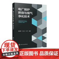 电厂锅炉燃烧与烟气净化技术 煤炭清洁燃烧排放 电厂锅炉 清洁燃烧煤燃烧 掺烧技术 超超临界 电厂锅炉燃烧及烟气净化技术实