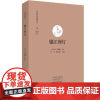 锦江禅灯 中国禅宗典籍丛刊 丈雪著作通醉生平 中州古籍 禅宗史 禅宗发展脉络 宗教论著黄夏年 杨曾文