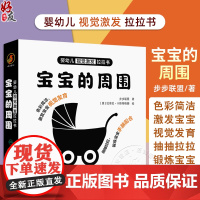 婴幼儿视觉激发拉拉书 宝宝的周围 主编步步联盟 少儿读物 低幼启蒙 带动宝宝眼睛运动 9787117361972人民卫生