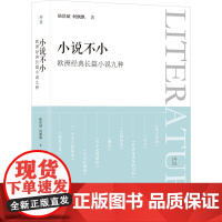 小说不小 欧洲经典长篇小说九种 陆浩斌,何飘飘 著 外国现当代文学 文学 上海社会科学院出版社