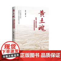 黄土魂:职田人民综合治理山水田林路村纪实