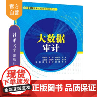 [正版新书]大数据审计 苟聪聪 李锐 胡玉姣 主编 王文姣 邓利梅 杨佩毅 副主编 窦蕾 赖静 张玲 谢建 参编