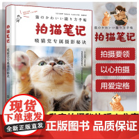 拍猫笔记 吸猫党专属摄影秘诀 猫咪摄影爱好者拍摄指南 捕捉猫咪魅力秘诀 摄影基础 相机设置 光线运用 构图技巧 宠物摄影