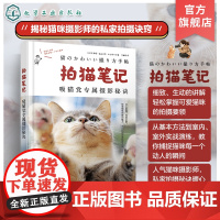 拍猫笔记 吸猫党专属摄影秘诀 猫咪摄影爱好者拍摄指南 捕捉猫咪魅力秘诀 摄影基础 相机设置 光线运用 构图技巧 宠物摄影