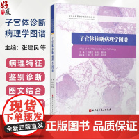 子宫体诊断病理学图谱 病理医学 子宫内膜病变 子宫间质肿瘤 慢性子宫内膜炎 张建民 张祥盛等编9787571433451