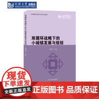 双循环战略下的小城镇发展与规划