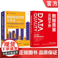 套装 数据质量实践手册 4步构建高质量数据体系+数据质量管理十步法 套装全2册 数字化转型 数据质量管理 数据管理技