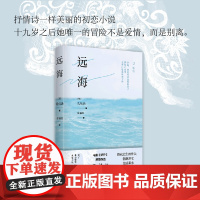 [正版书籍]远海(亲签本,电影《熔炉》原著作者 孔枝泳)