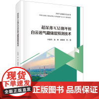 超深薄互层潮坪相白云岩气藏储层预测技术