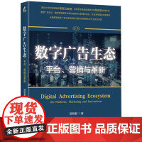 数字广告生态:平台、营销与革新