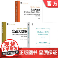 套装 Hadoop HDFS深度剖析与实践+实战大数据 分布式大数据分析处理系统+实战大数据 Hadoop+Spar