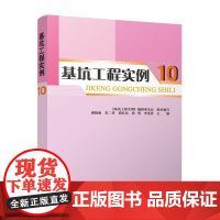 正版 基坑工程实例10 龚晓南 宋二祥 郭红仙 徐明 李连祥主编 中国建筑工业出版社 9787112304806