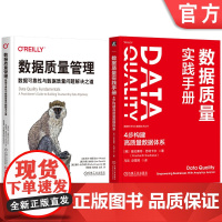 套装 数据质量管理 数据可靠性与数据质量问题解决之道 +数据质量实践手册 套装全2册 数据质量 数据整理 数据质量管