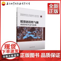 低渗透岩性气藏动态评价方法与应用 王东旭,李进步,刘志军 9787518365500