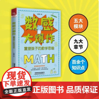 数感大爆炸:重塑孩子的数学思维 张赛赛 数学启蒙奥数加强数感思维锻炼自然科学科普读物 数学 数学理论 数学书