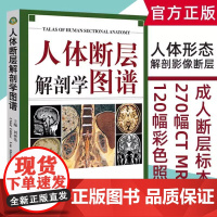 [书]人体断层解剖学图谱 刘树伟CT、MRI断层解刨影像彩色插图学习参考书 人体局部解剖学教程教材西医学书籍