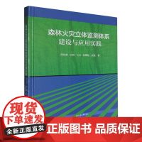 森林火灾立体监测体系建设与应用实践