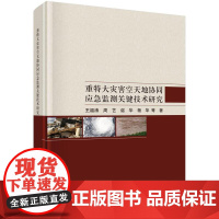 重特大灾害空天地协同应急监测关键技术研究