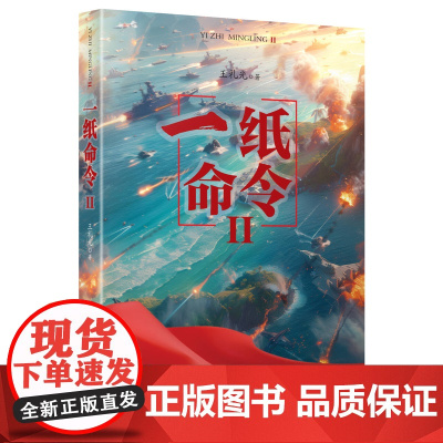 一纸命令2 王礼光 著 中国人民解放军小说书 安徽文艺出版社