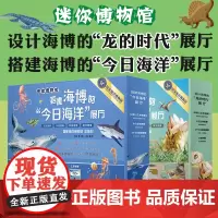 [8岁+]迷你博物馆 搭建海博的今日海洋展厅 设计海博的龙的时代展厅 展厅搭建diy 国家海洋博物馆总策划 华东师范大学