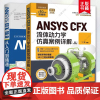 ANSYS CFX2册 ANSYS CFX流体动力学仿真案例详解 丁源+ANSYS CFX 19.0 从入门到精通 CA