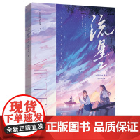 [余杭新华正版]流星.2 酒暖春深著 小说