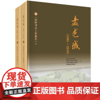 [正版书籍]盘龙城(1995~2019)(一):田野考古工作报告(上、下册)