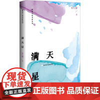 满天星 安石榴 著 中国现当代文学 文学 百花洲文艺出版社