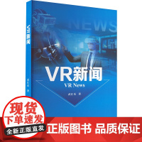 VR新闻:武汇岳 著 大中专理科科技综合 大中专 中山大学出版社