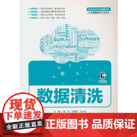 数据清洗(普通高等教育数据科学与大数据技术专业教材)