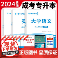 成人高考 专升本2024教材套装:政治+英语+大学语文(3册套装)