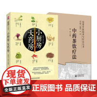 [全2册]小厨房大药房+中药茶饮疗法(实用中医技术与疗法丛书) 中国医药科技出版社 保健/养生 适合中医爱好者等阅读