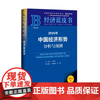 2025年中国经济形势分析与预测 王昌林 主编 经济蓝皮书 中国经济中国经济史 社会科学文献出版社 正版书籍