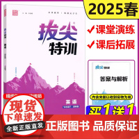 2025春通成学典拔尖特训同步教材英语七年级下译林版专项训练7年级下英语同步提优刷题高分提优题库中学生教辅用书