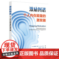 激励图谱 个人内在能量的激发器 简单快捷的人力资源测评工具 九大激励因子助你找到自己的动力源泉 人力资源管理 探索激励本