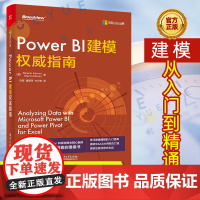 Power BI建模权威指南 Excel PowerBI建模 电商BI系统框架搭建 数据分析Power BI应用电商运营