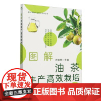 图解油茶丰产高效栽培 左继林 油茶栽培技术书籍 油茶高效栽培技术油茶种植管理油茶树整形修剪技术油茶树病害防治