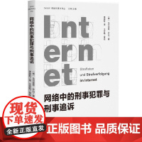 网络中的刑事犯罪与刑事追诉 深度剖析德国网络刑法体系 洞悉网络刑法未来 网络中刑事追诉 危险防范法预防法 北京大学店正版