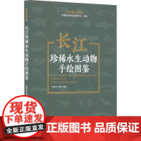 长江珍稀水生动物手绘图鉴 科技民生报告 长江里的精灵 值得我们珍惜的珍稀朋友 科普读物 中国科学技术出版社 正版书籍