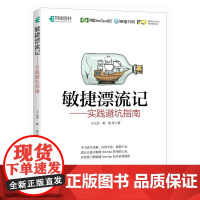 敏捷漂流记——实践避坑指南 敏捷测试软件工程敏捷开发计算机软件开发书籍