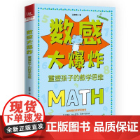 数感大爆炸 重塑孩子的数学思维 张赛赛 儿童数学思维训练书籍 儿童数学兴趣训练 益智游戏数学启蒙书 小学生数学书