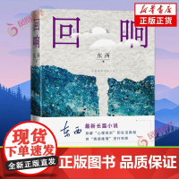 回响 东西长篇力作 第十一届茅盾文学奖获奖作品 侦破推理小说模式 中国现当代文学