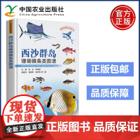 农业 西沙群岛珊瑚礁鱼类图谱 王腾 刘永 李纯厚 肖雅元 黄晓华 陈作志 中国农业出版社