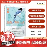 [店]翘盼野鸟飞来 2024暑期读一本好书动物、鸟、自然生态、中国湿地生态
