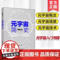 元宇宙简史 奥秘AI大数据人工智能家居汽车数字人脑机接口量子技术云计算物联网揭秘概念场景关键技术发展前景科技科普入门图