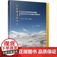西藏雅鲁藏布江巴玉水电站枢纽及临建区泥石流与冰川危害性调查研究 赵怀,李凯 编 地质学专业科技 正版图书籍