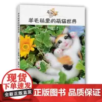 [书]羊毛毡里的萌猫世界9787534972287河南科学技术出版社书籍