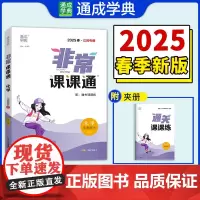 25春初中非常课课通 化学9年级下·人教版 通城成学典
