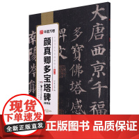 [正版]颜真卿多宝塔碑(视频版)/中国书法传世碑帖精品 颜真卿 湖南美术出版社 9787574605619